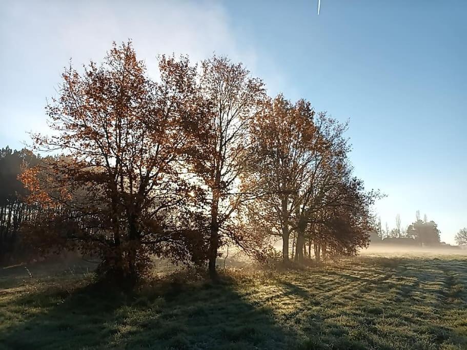 Gite Aux Bois D'En Temps Lunas  Kültér fotó