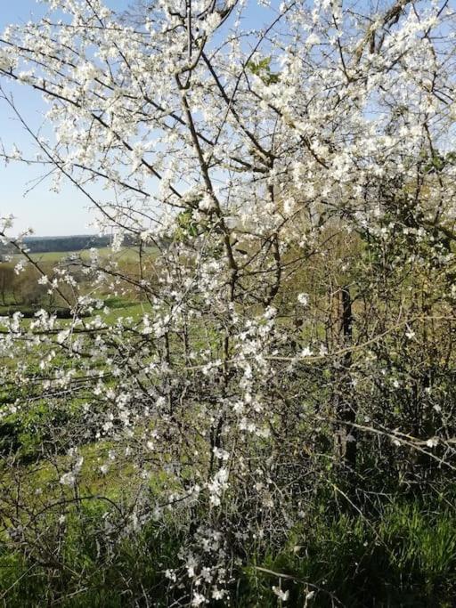 Gite Aux Bois D'En Temps Lunas  Kültér fotó