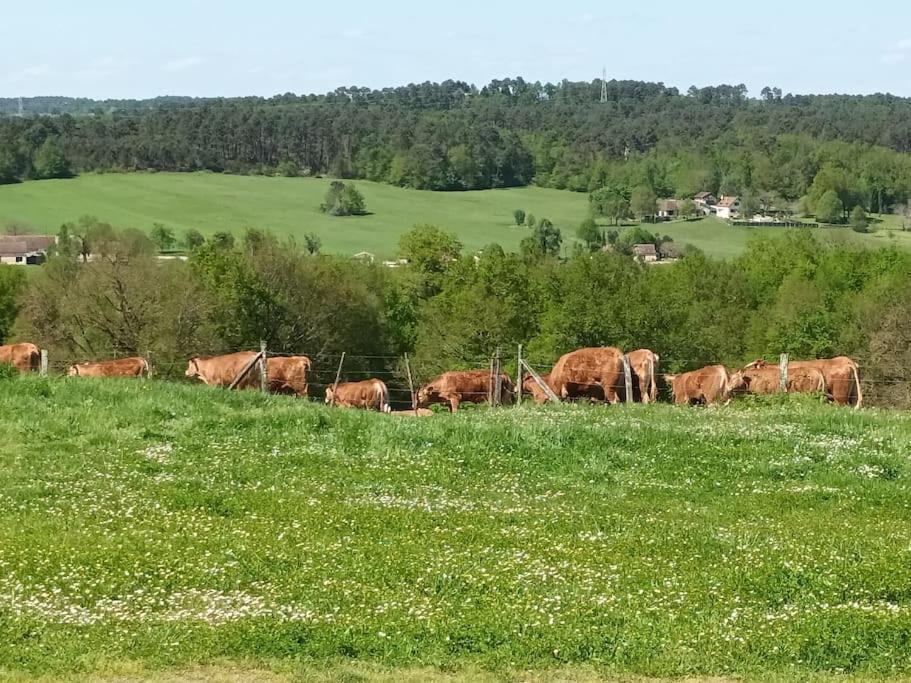 Gite Aux Bois D'En Temps Lunas  Kültér fotó