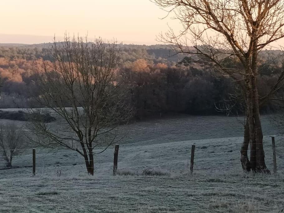 Gite Aux Bois D'En Temps Lunas  Kültér fotó