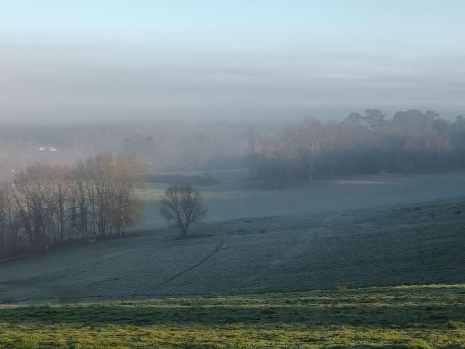 Gite Aux Bois D'En Temps Lunas  Kültér fotó