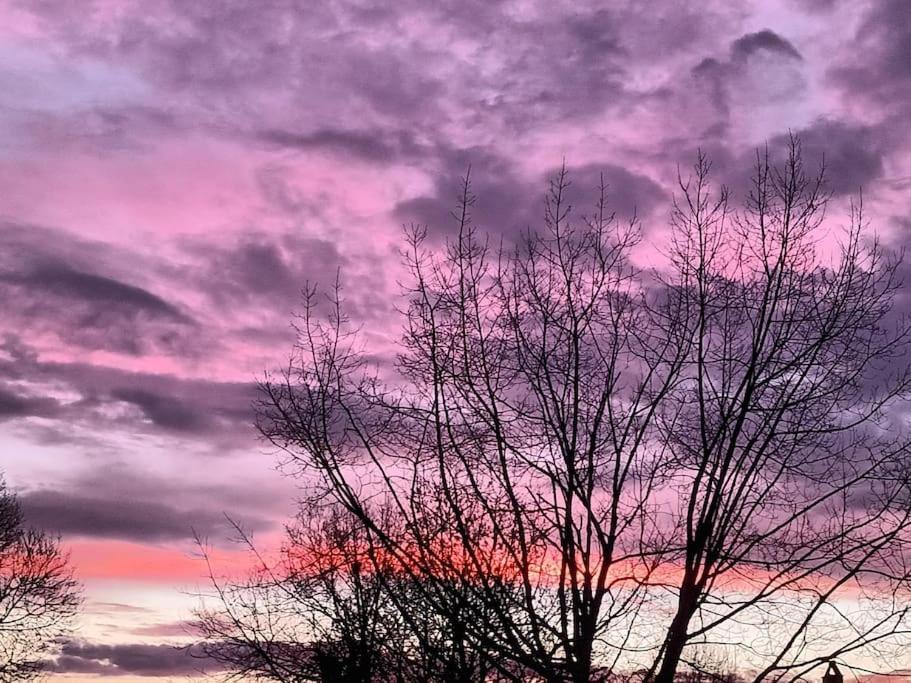 Gite Aux Bois D'En Temps Lunas  Kültér fotó