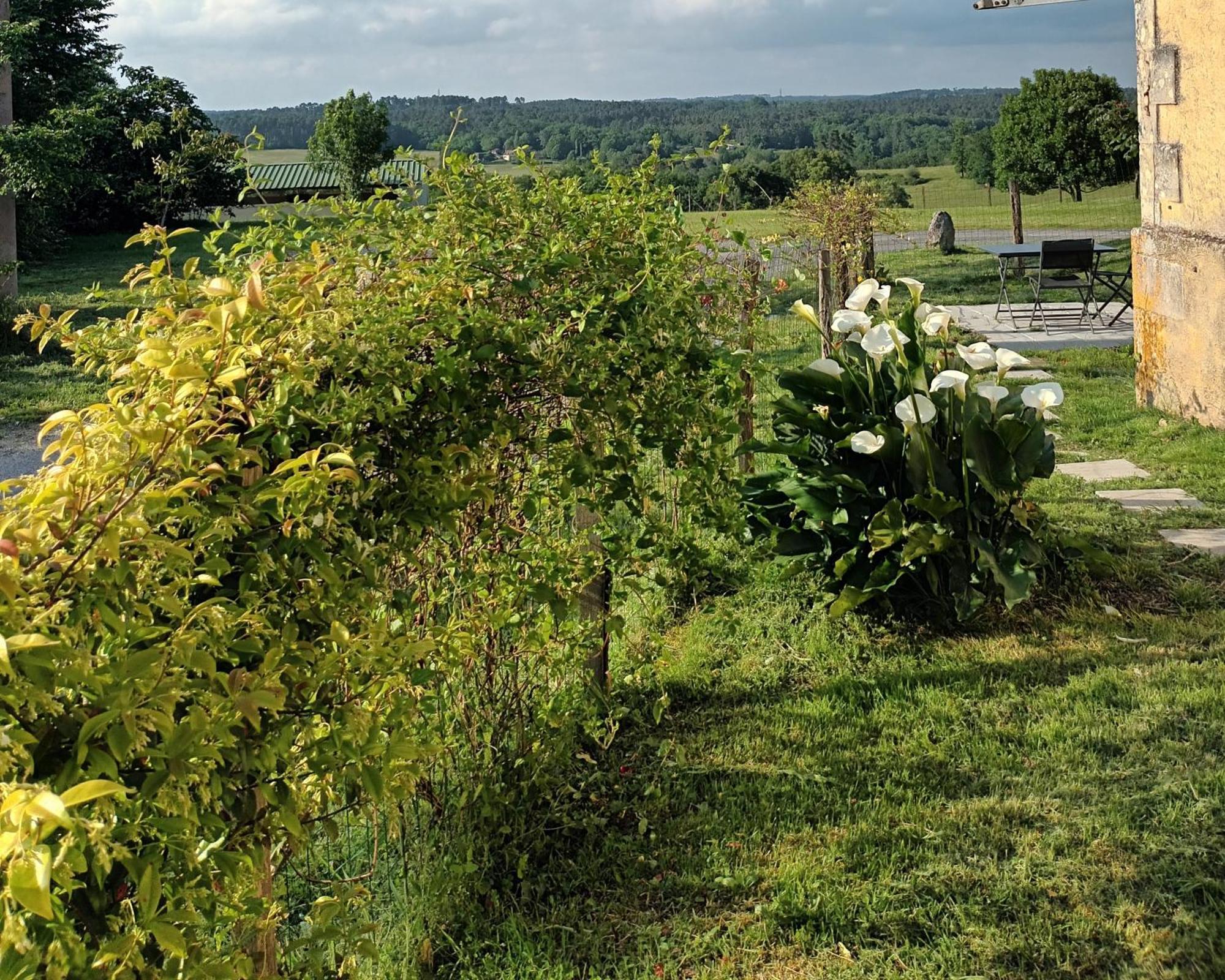 Gite Aux Bois D'En Temps Lunas  Szoba fotó